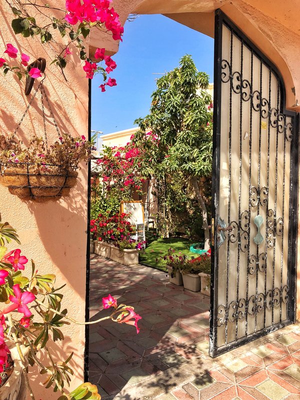 Valoriser son patrimoine immobilier : l'impact des fenêtres et portes de qualité