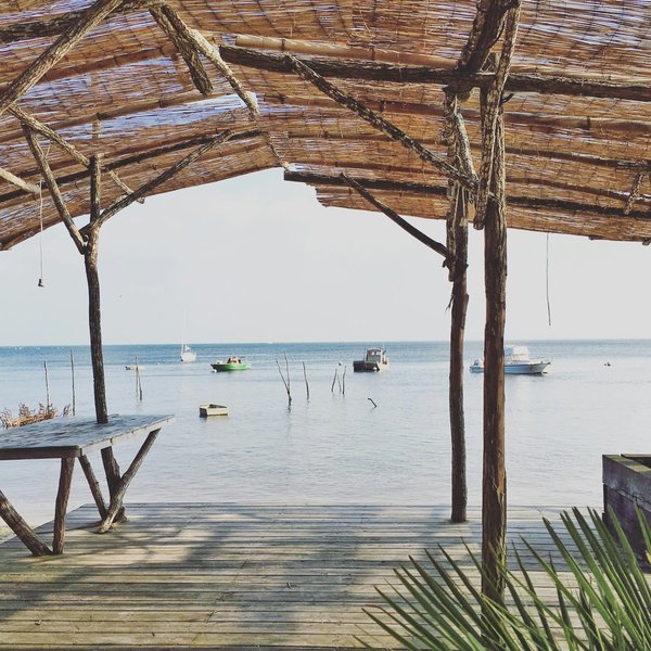 Découvrez le Cap Ferret : votre itinéraire complet pour un séjour mémorable